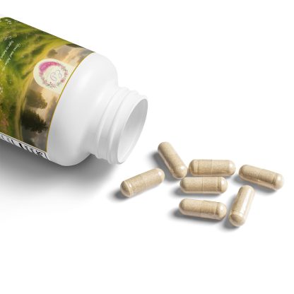 Boost your daily wellness with Essence Innovation’s Sea Moss Supplement,