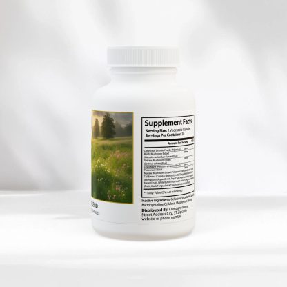 Mushroom Blend Supplement | Brain Health | 60 Capsules - Image 3