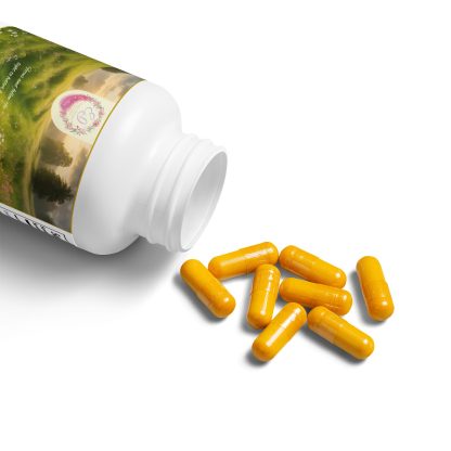 Support recovery and wellness with our Turmeric with BioPerine® Supplement,